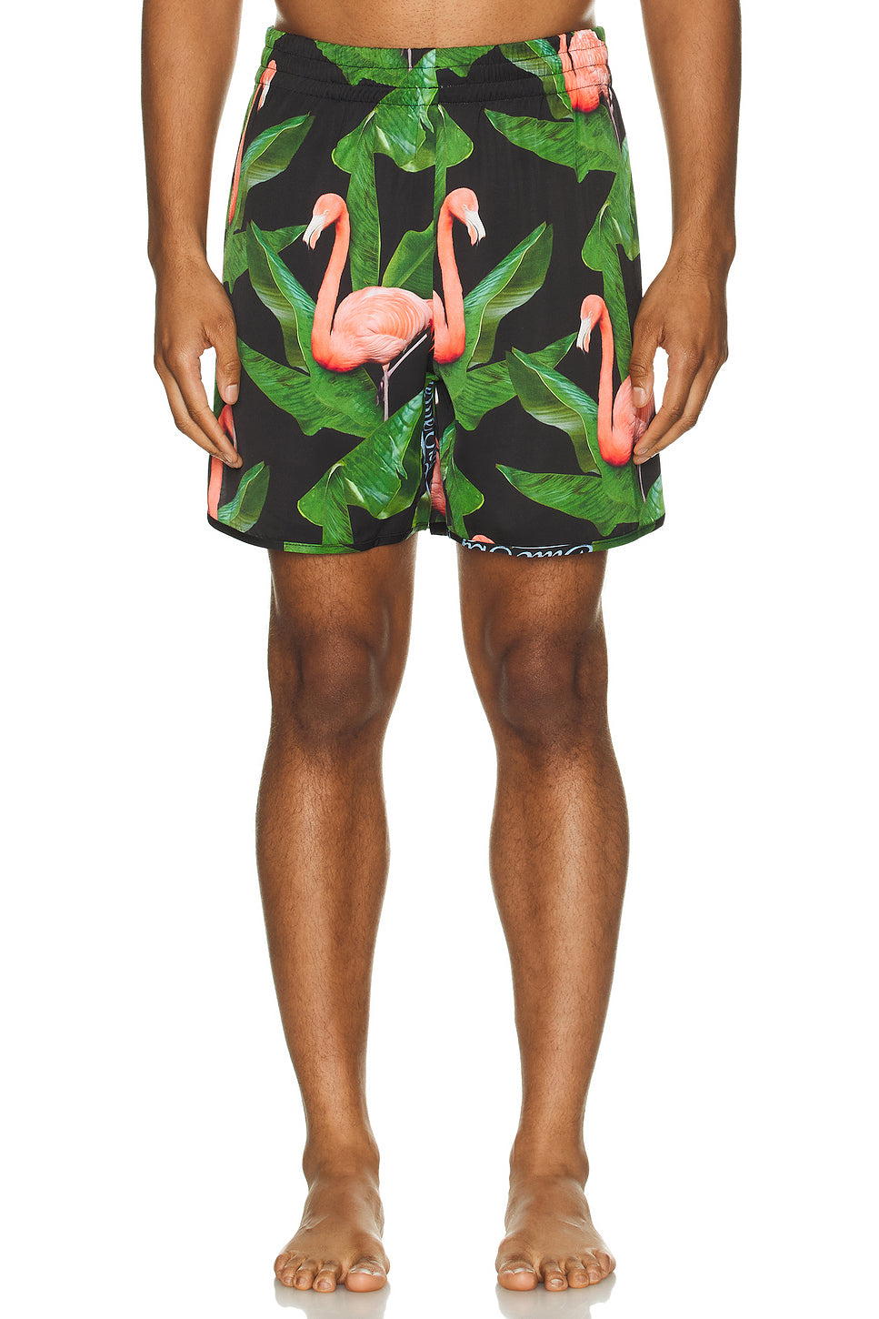 Flamingo Swim Shorts