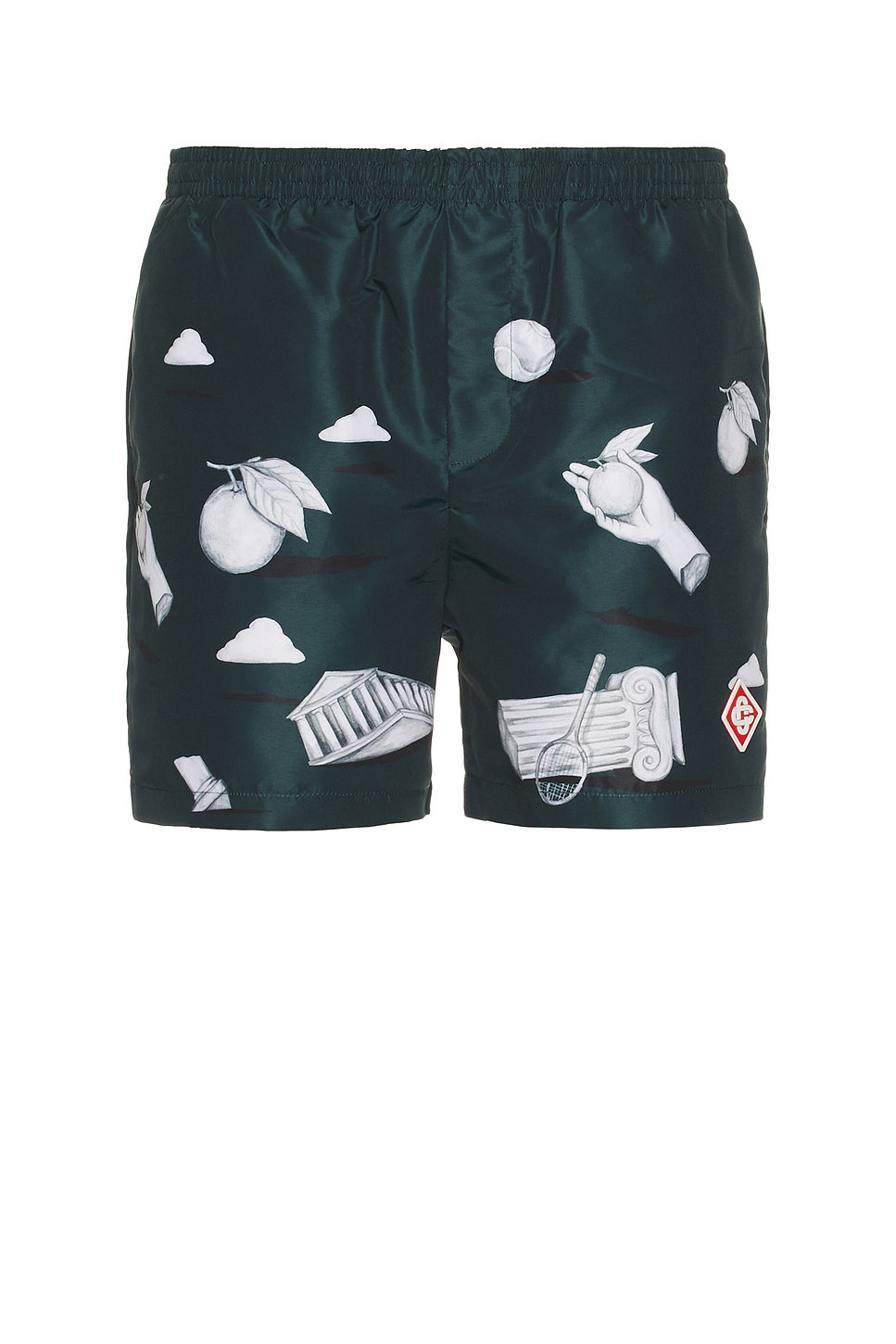 Printed Swim Shorts