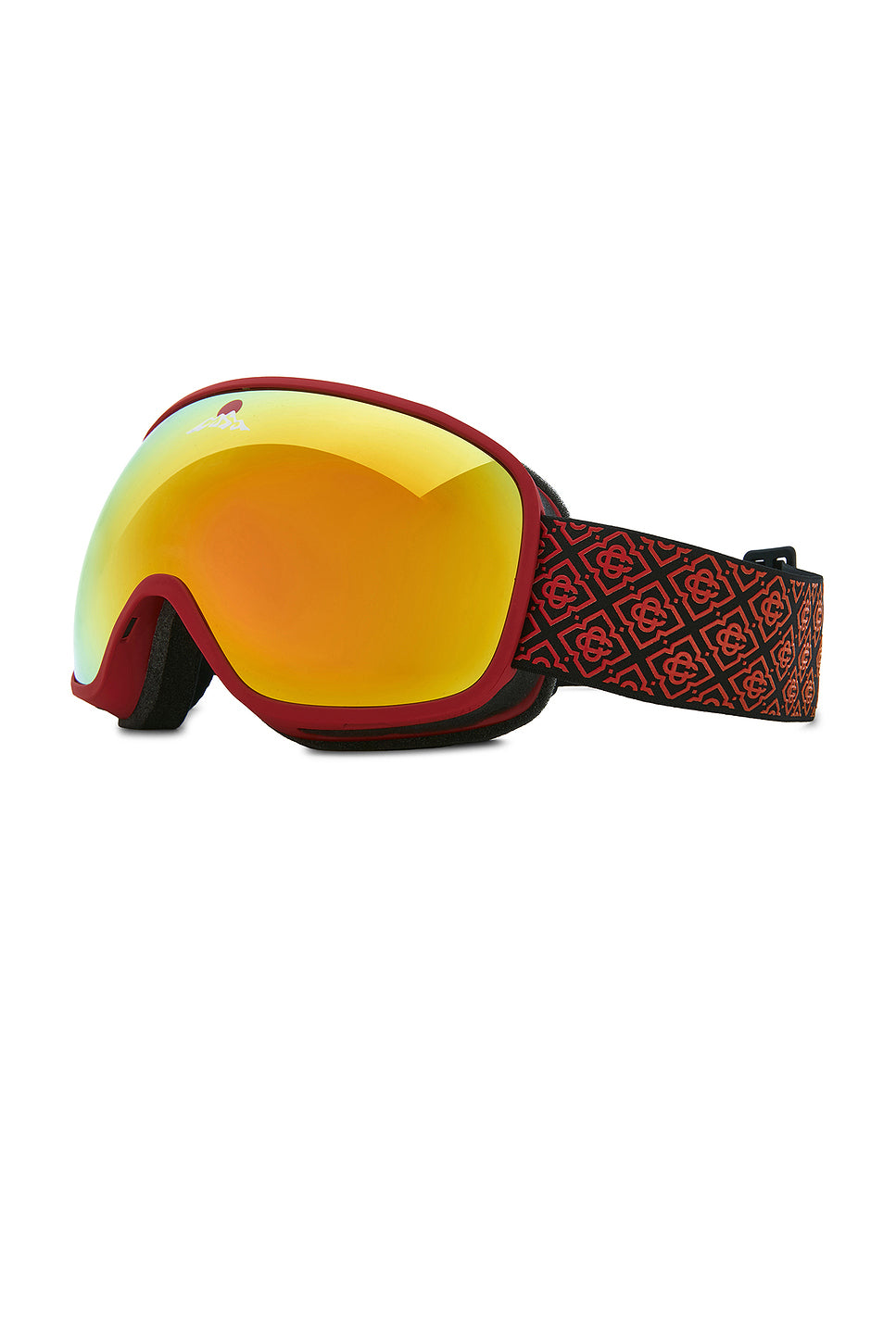 Ski Goggles