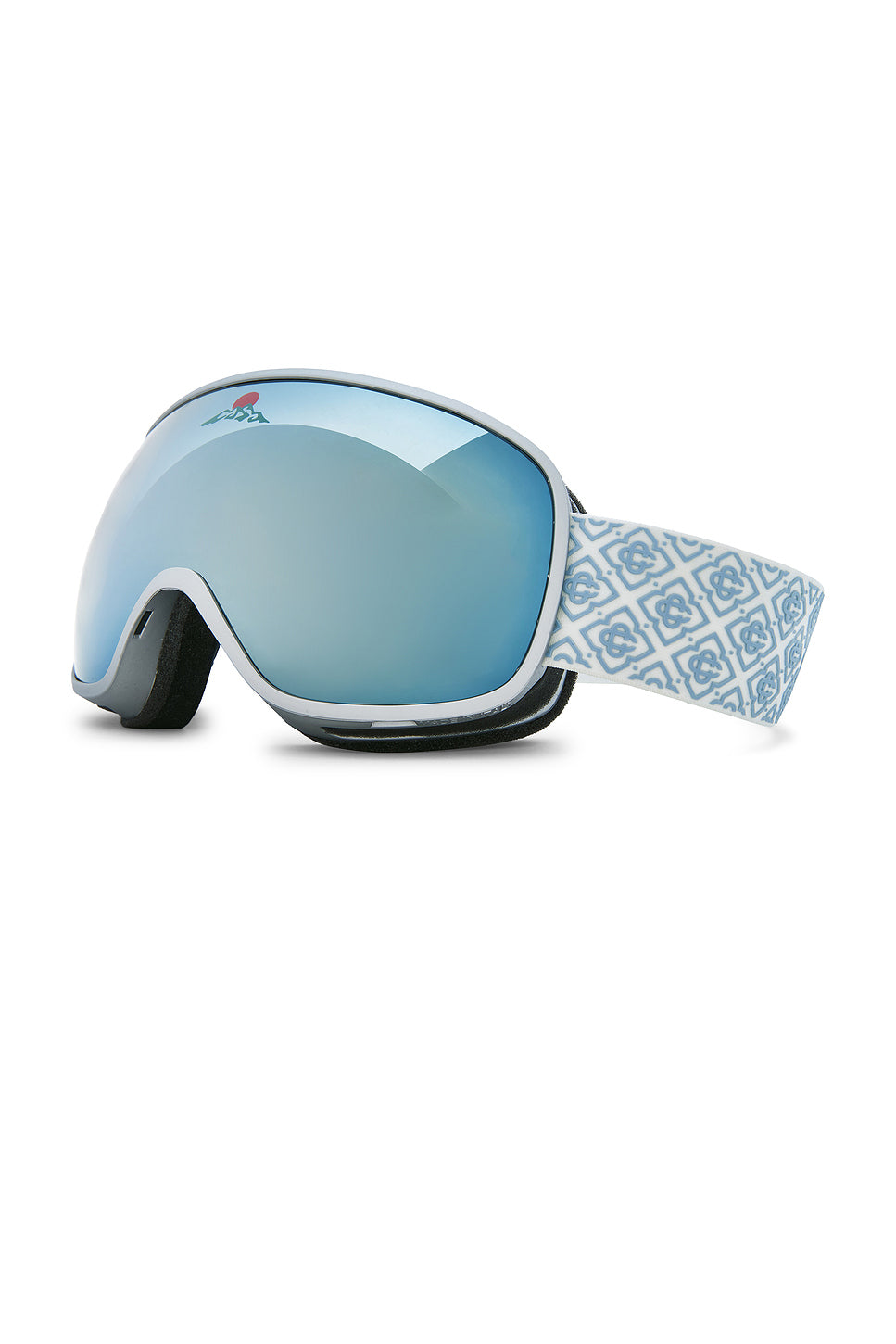 Ski Goggles