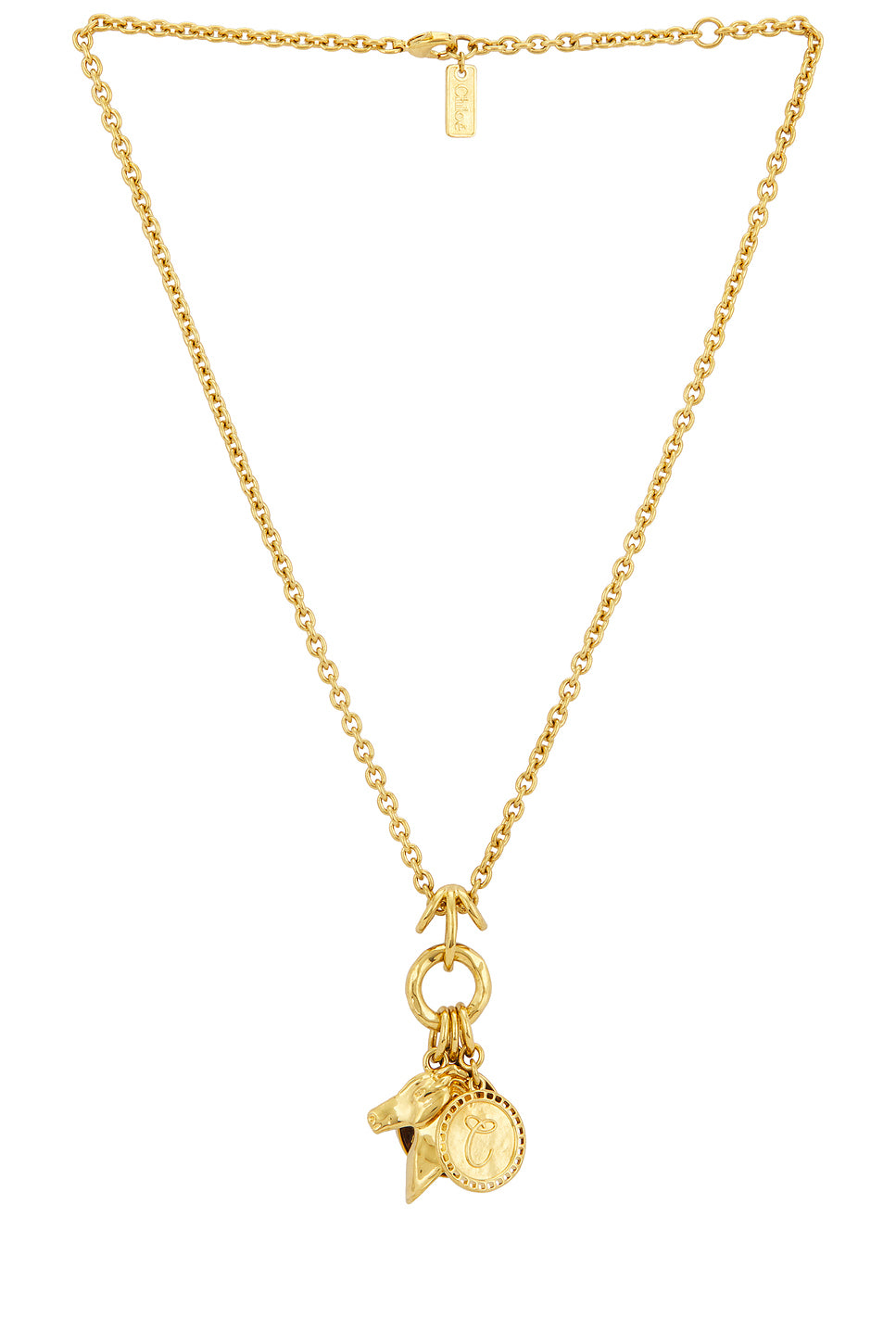 Charms Necklace