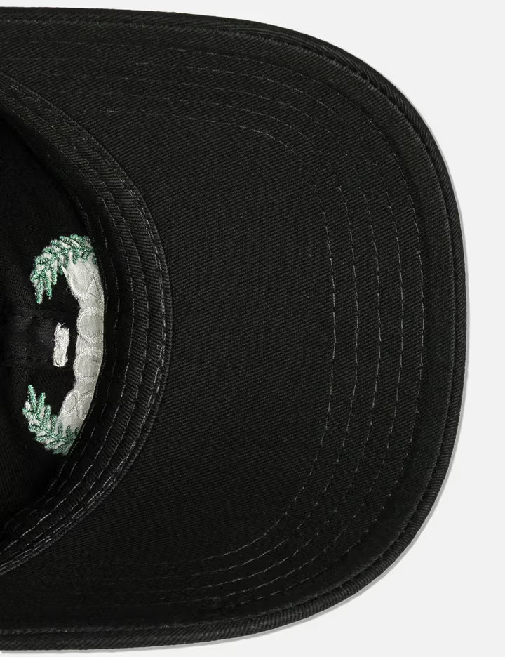 Financial Crisis Hat