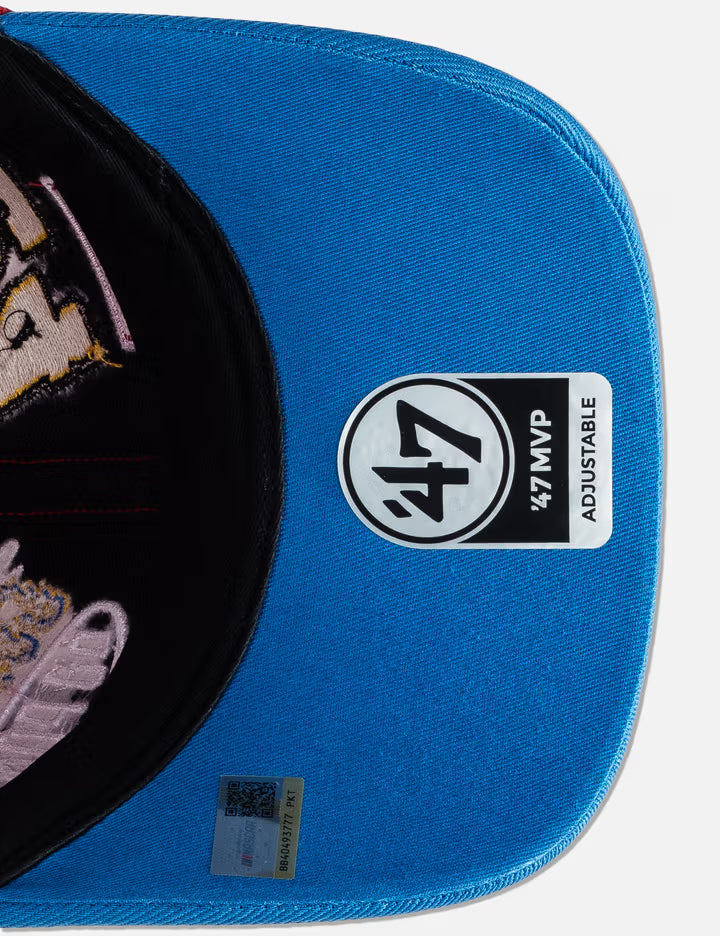 Market X NASCAR Jeff Gordon Cap