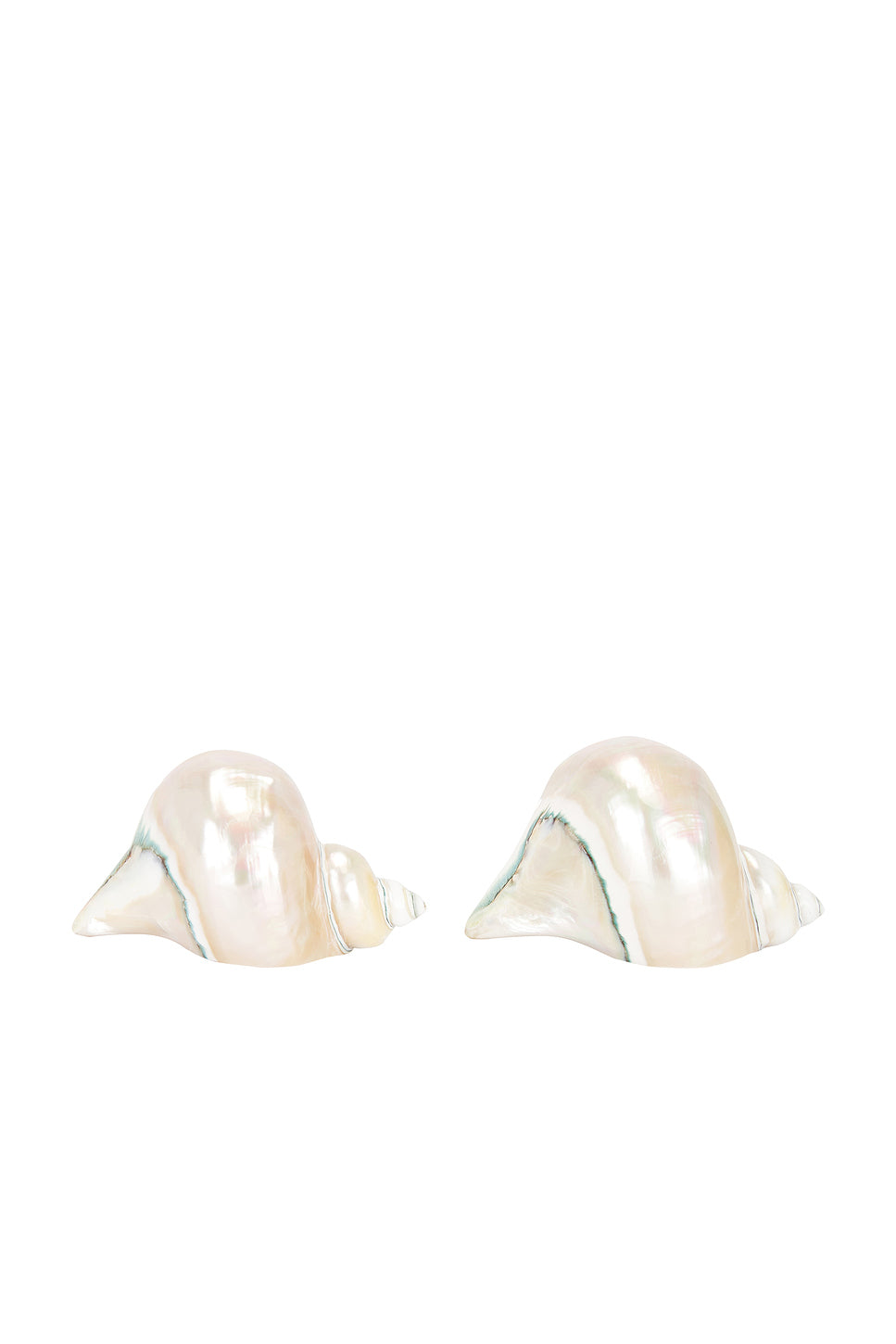 Shell Set Of 2 Napkin Rings