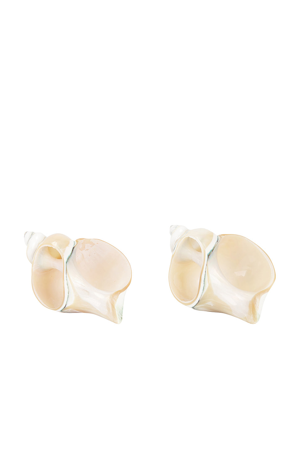 Shell Set Of 2 Napkin Rings