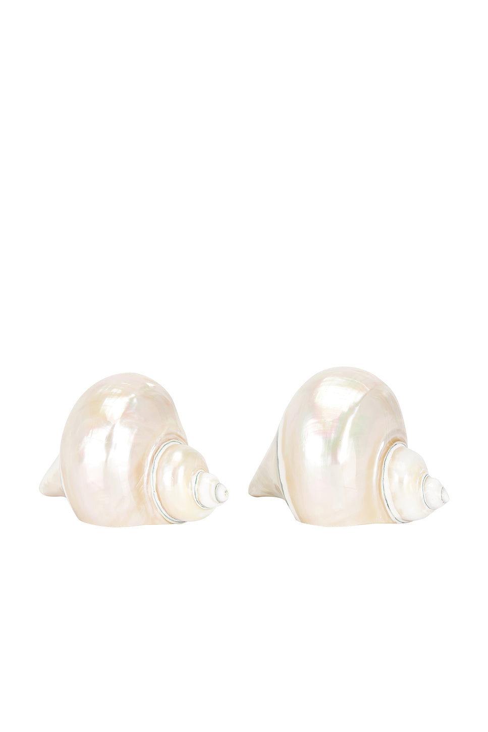 Shell Set Of 2 Napkin Rings
