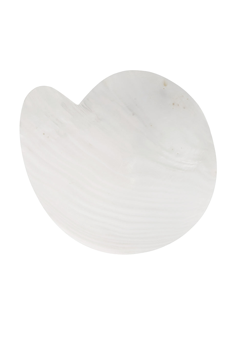 Mother Of Pearl Nautilus Dish