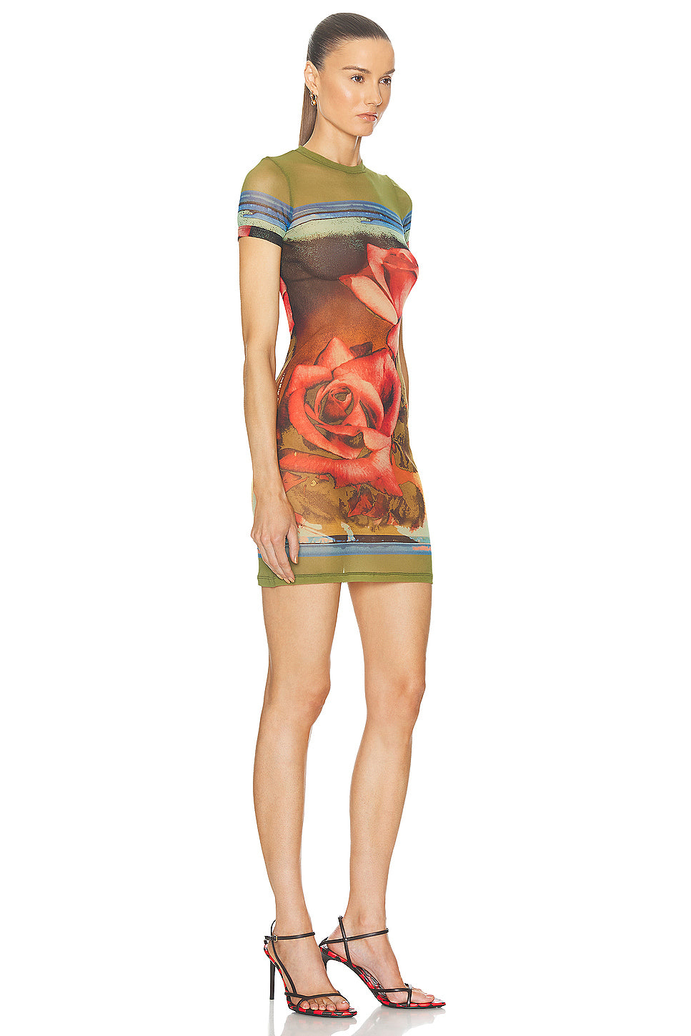 Roses Mesh Short Sleeve Dress