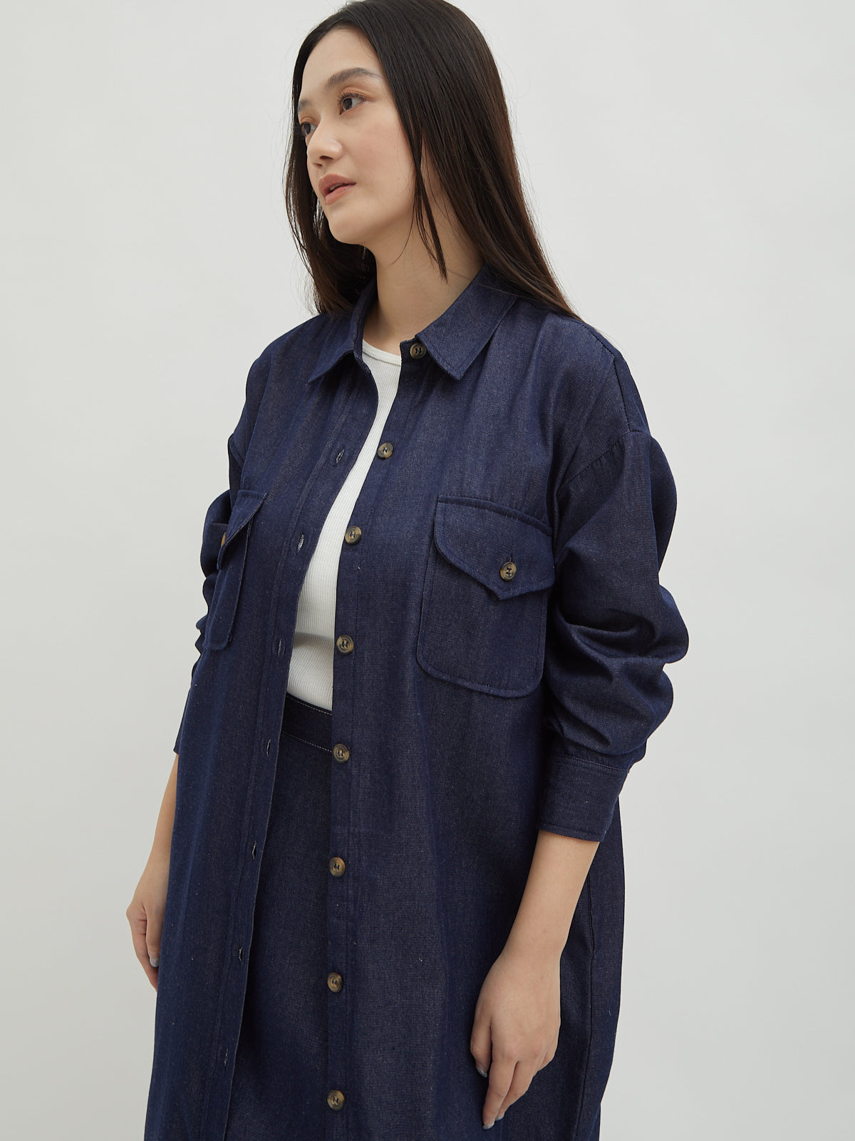 Kinnas Denim Shirt Dress