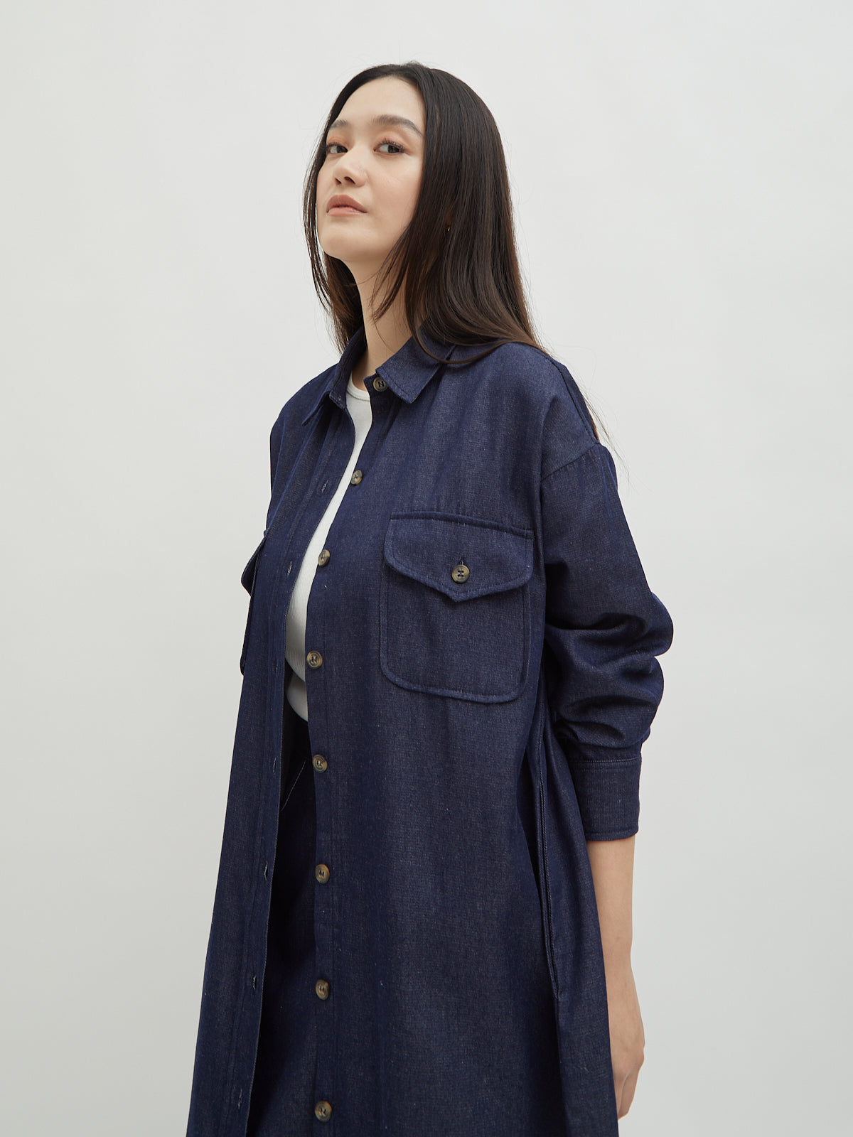 Kinnas Denim Shirt Dress