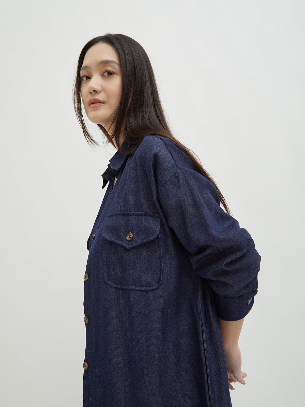 Kinnas Denim Shirt Dress