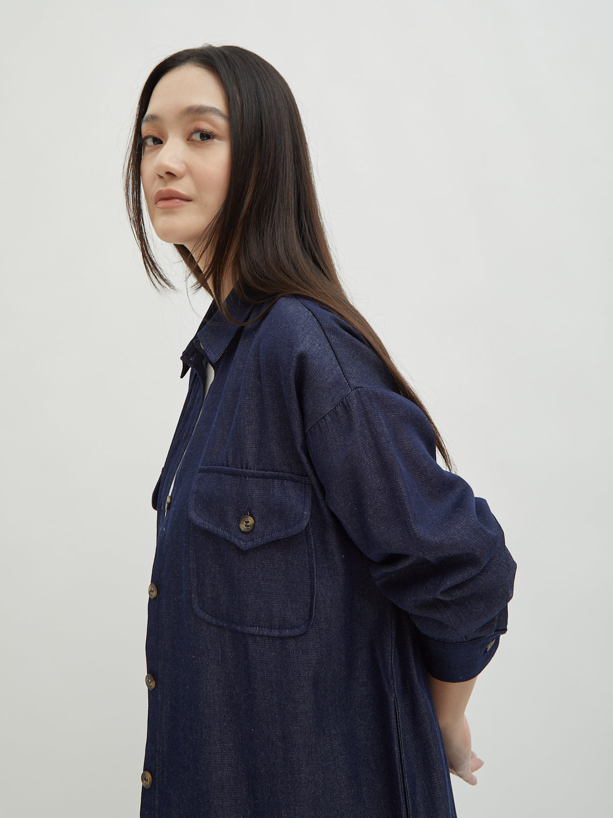 Kinnas Denim Shirt Dress