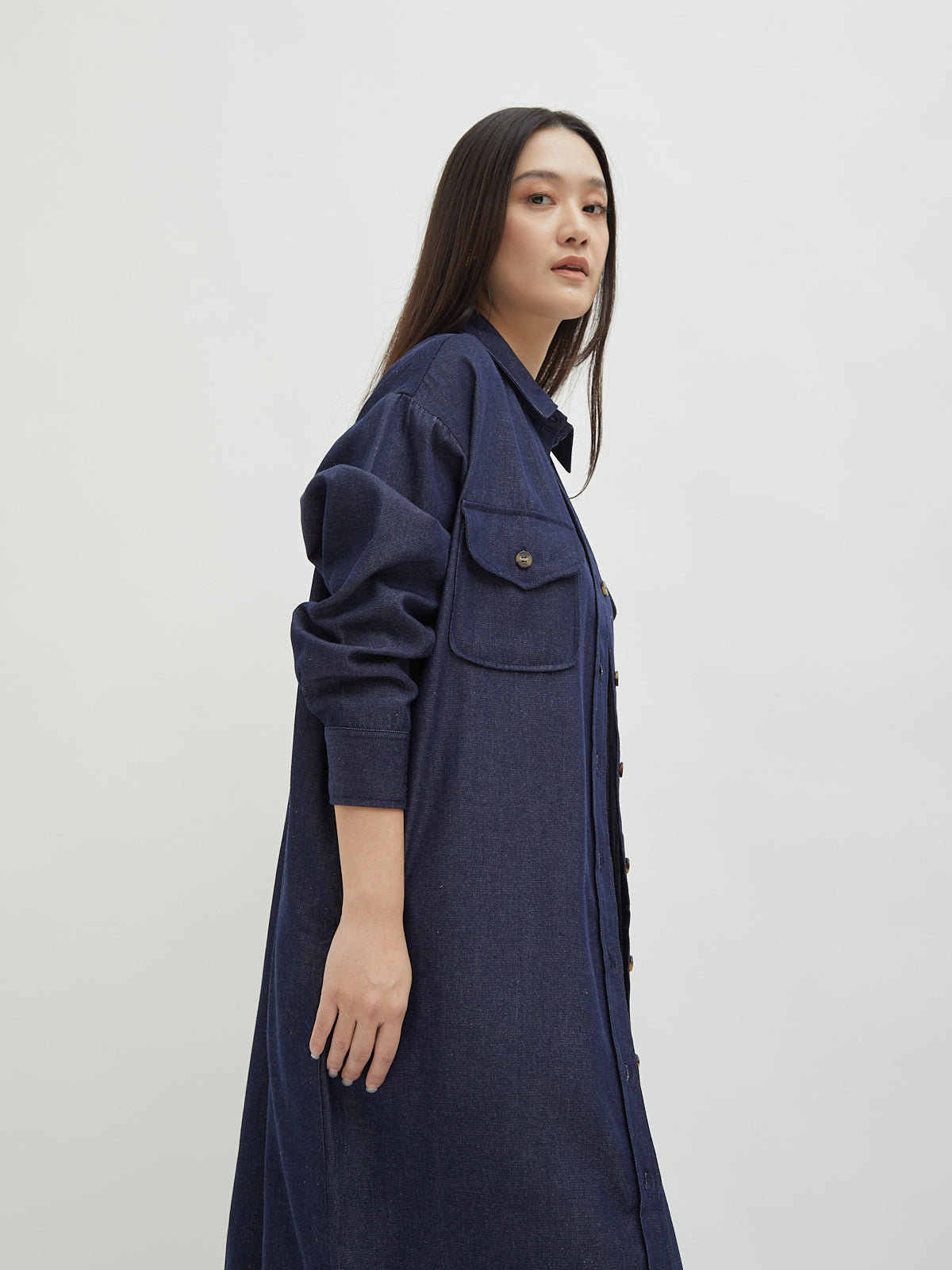 Kinnas Denim Shirt Dress