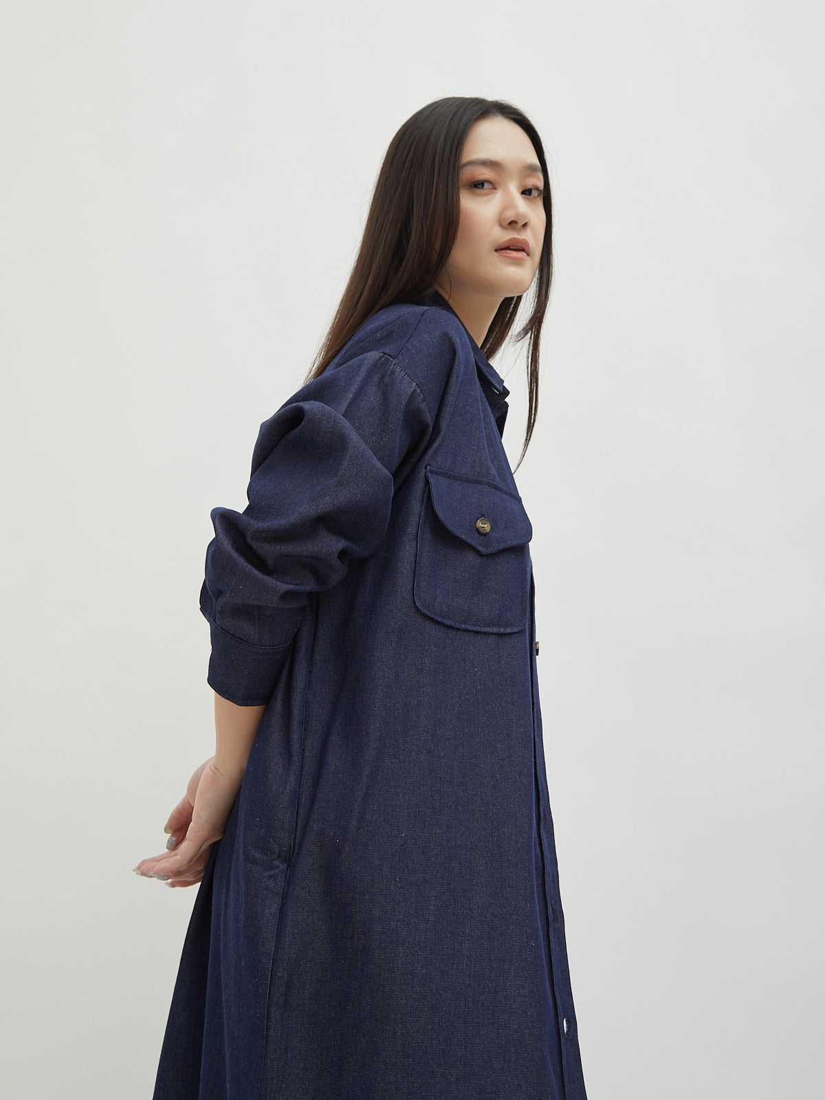 Kinnas Denim Shirt Dress