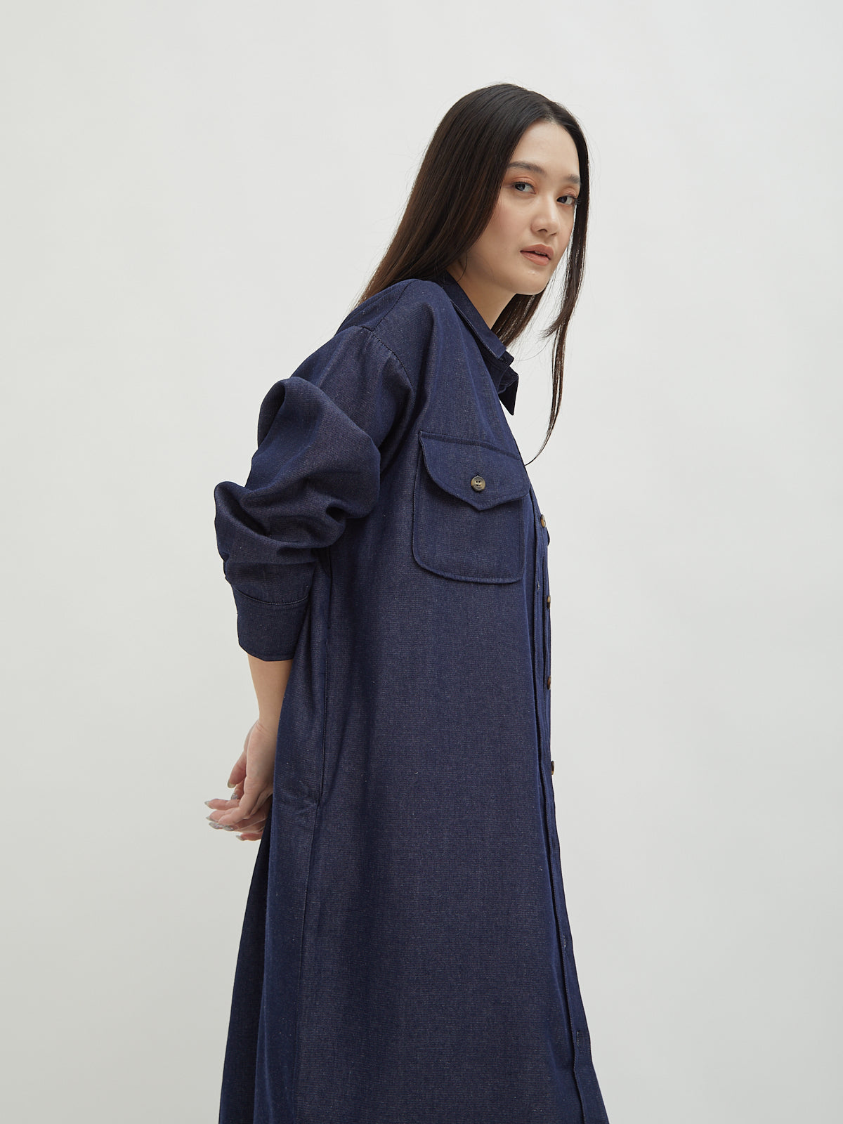 Kinnas Denim Shirt Dress