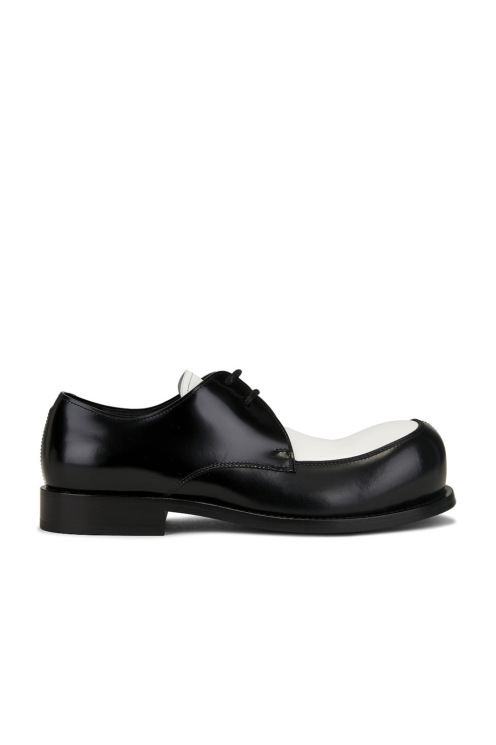 Laced Shoe