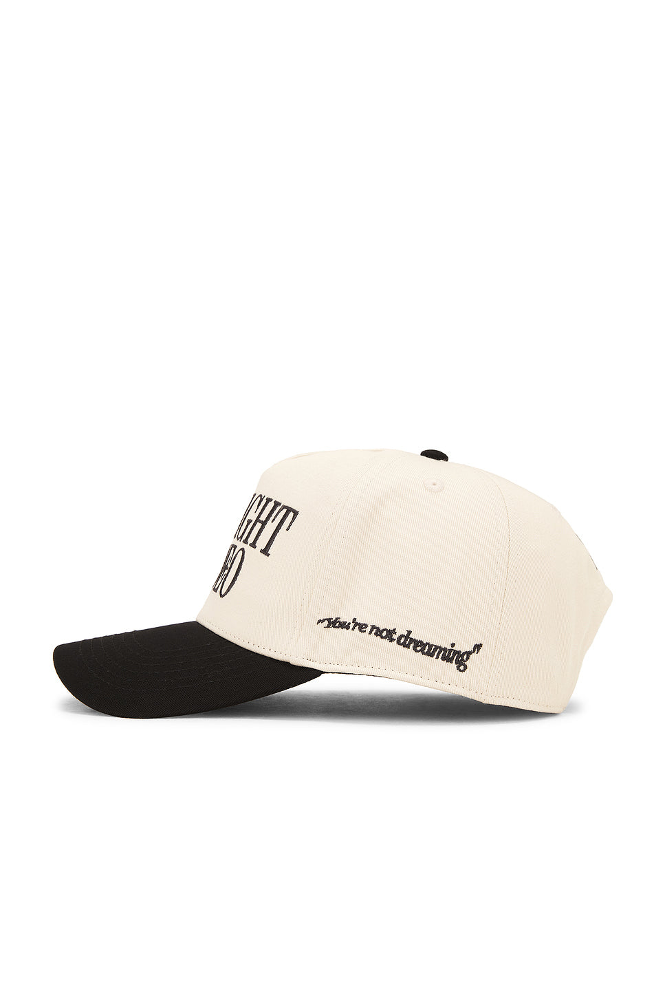 Alt Classic Logo Trucker