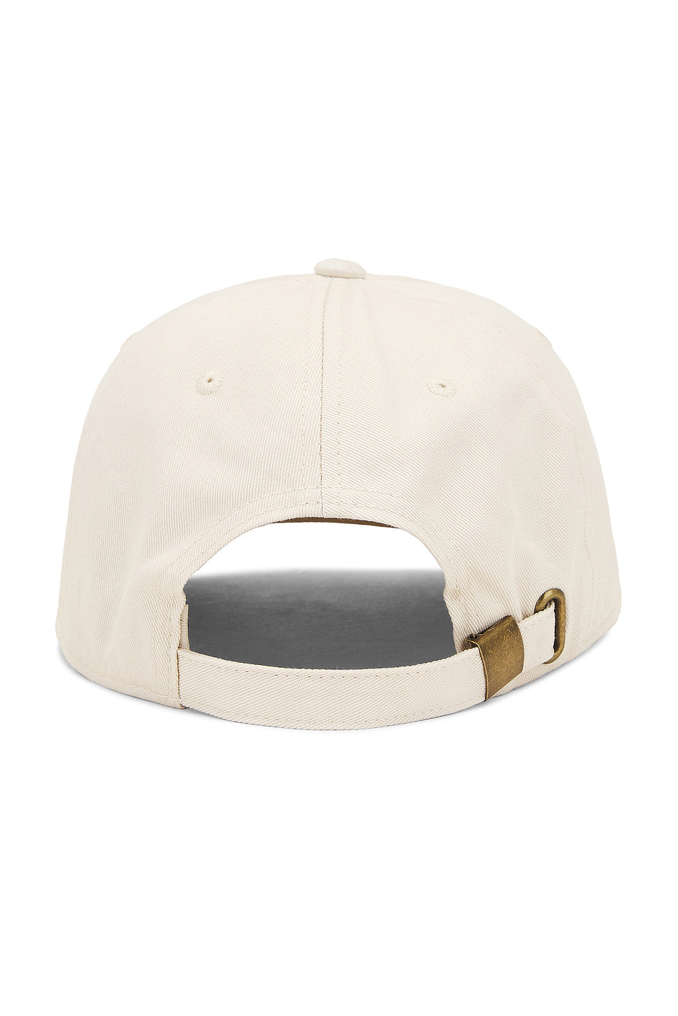 Naturalist Dad Hat