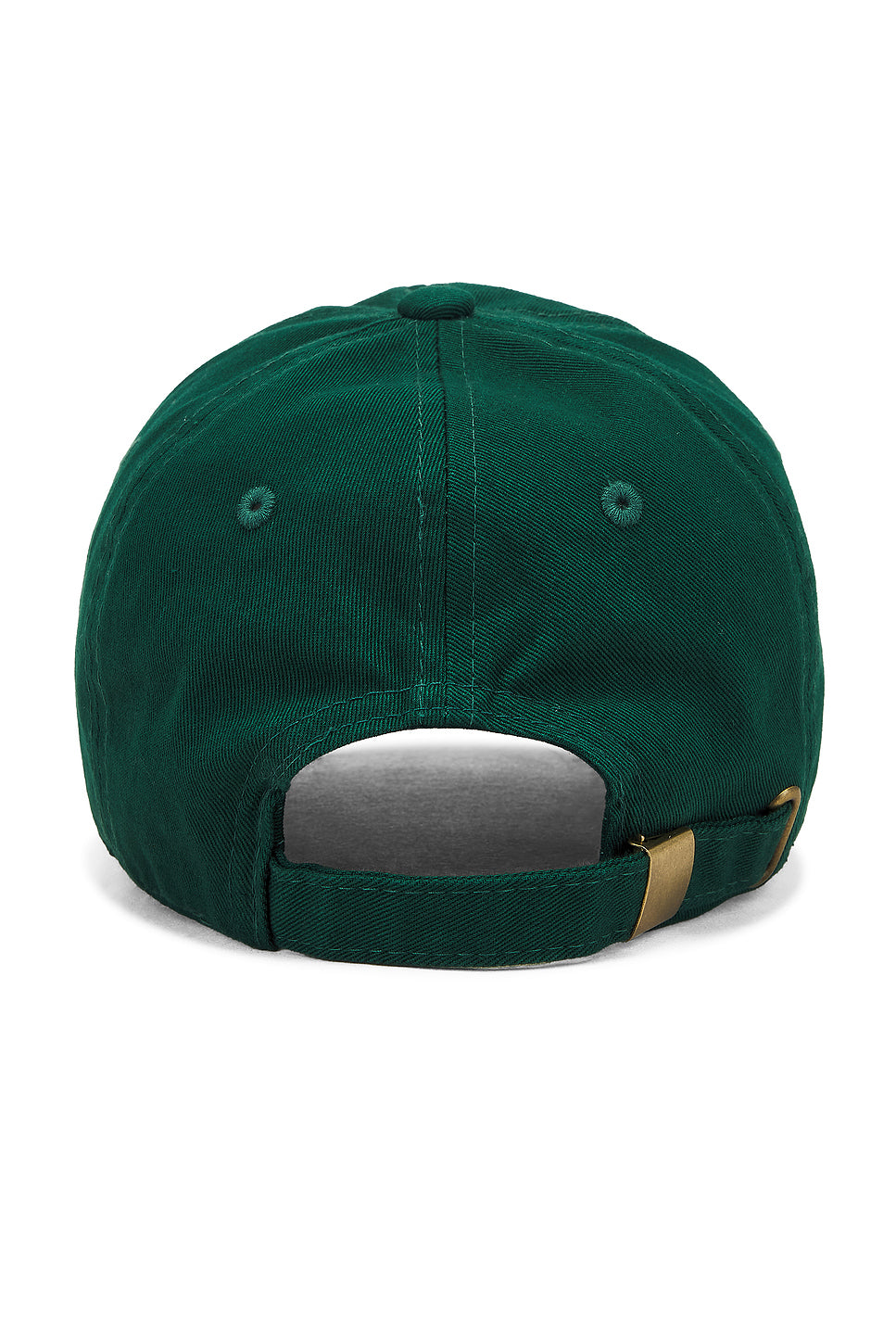 Naturalist Dad Hat