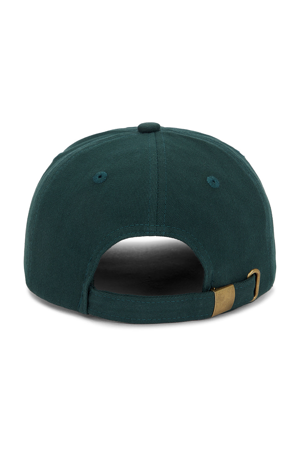 Warped Dad Hat