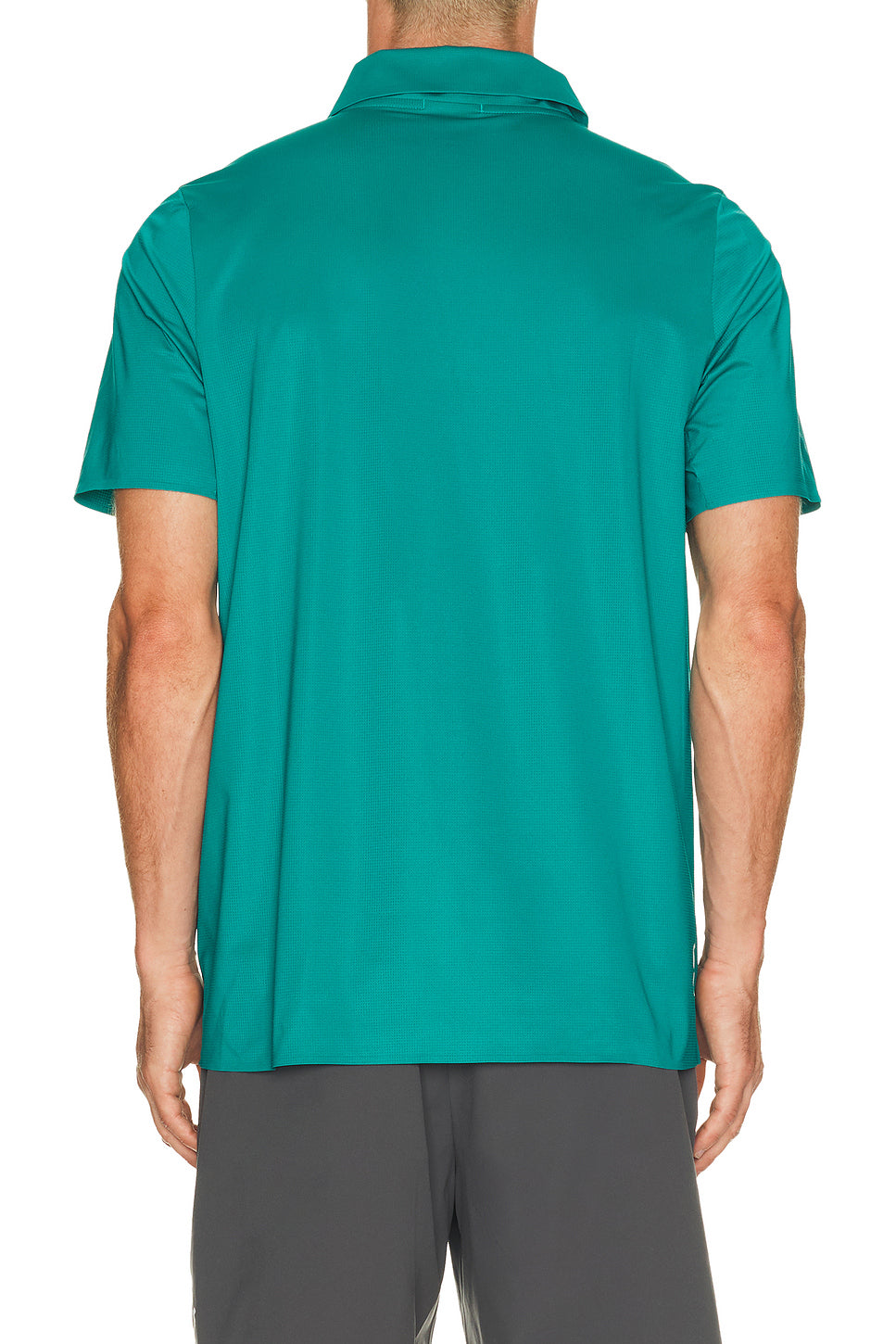 Court Polo