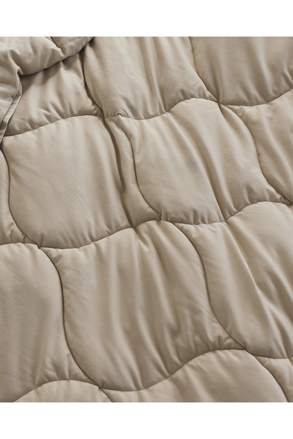 Cotton Drift Comforter
