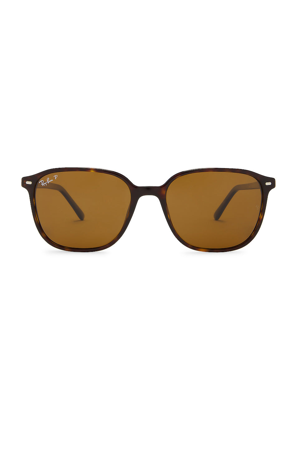 Polarized Leonard Sunglasses