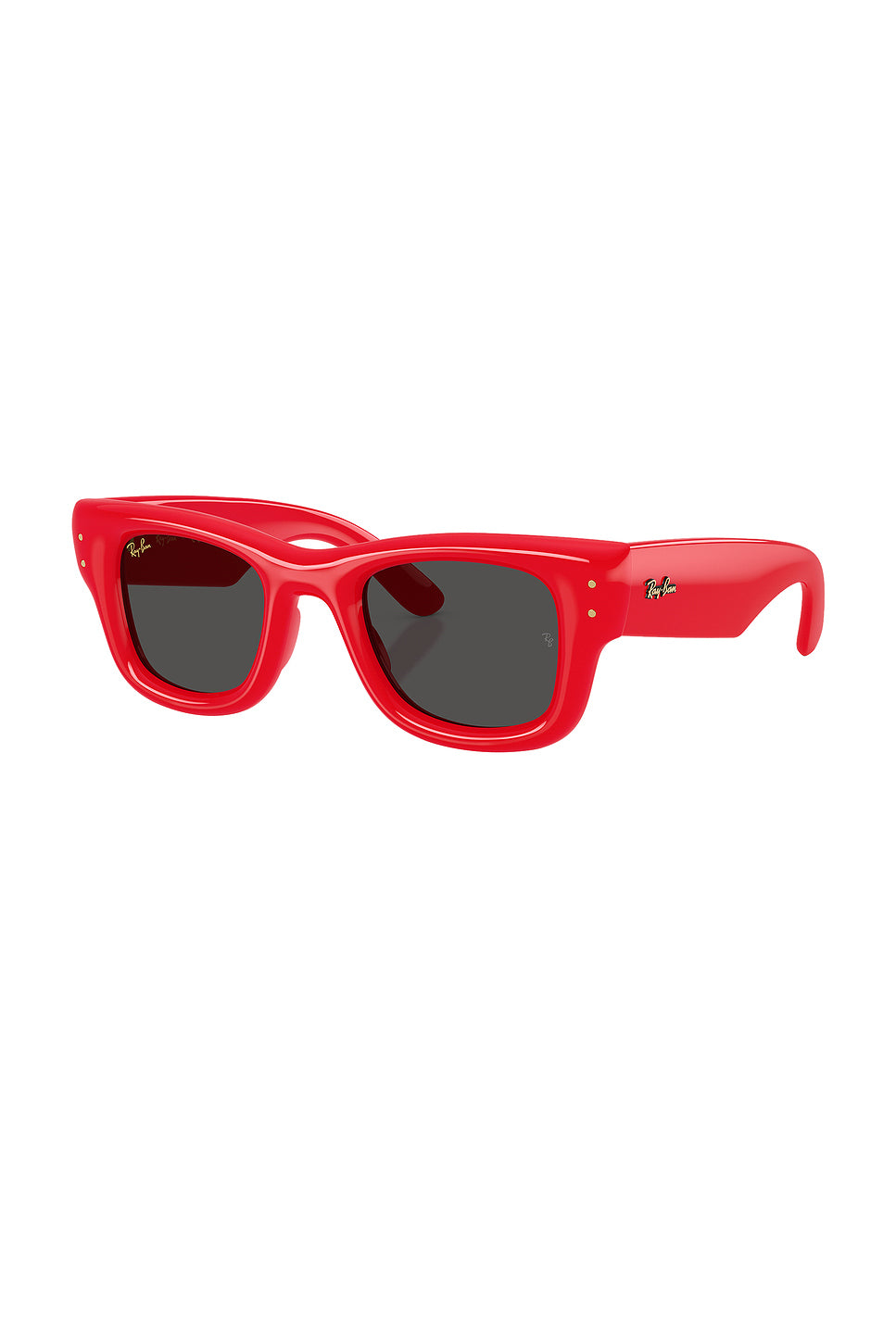 x A$ap Rocky Wayfarer Puffer