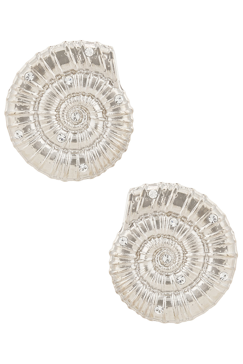 Conch Shell Earrings