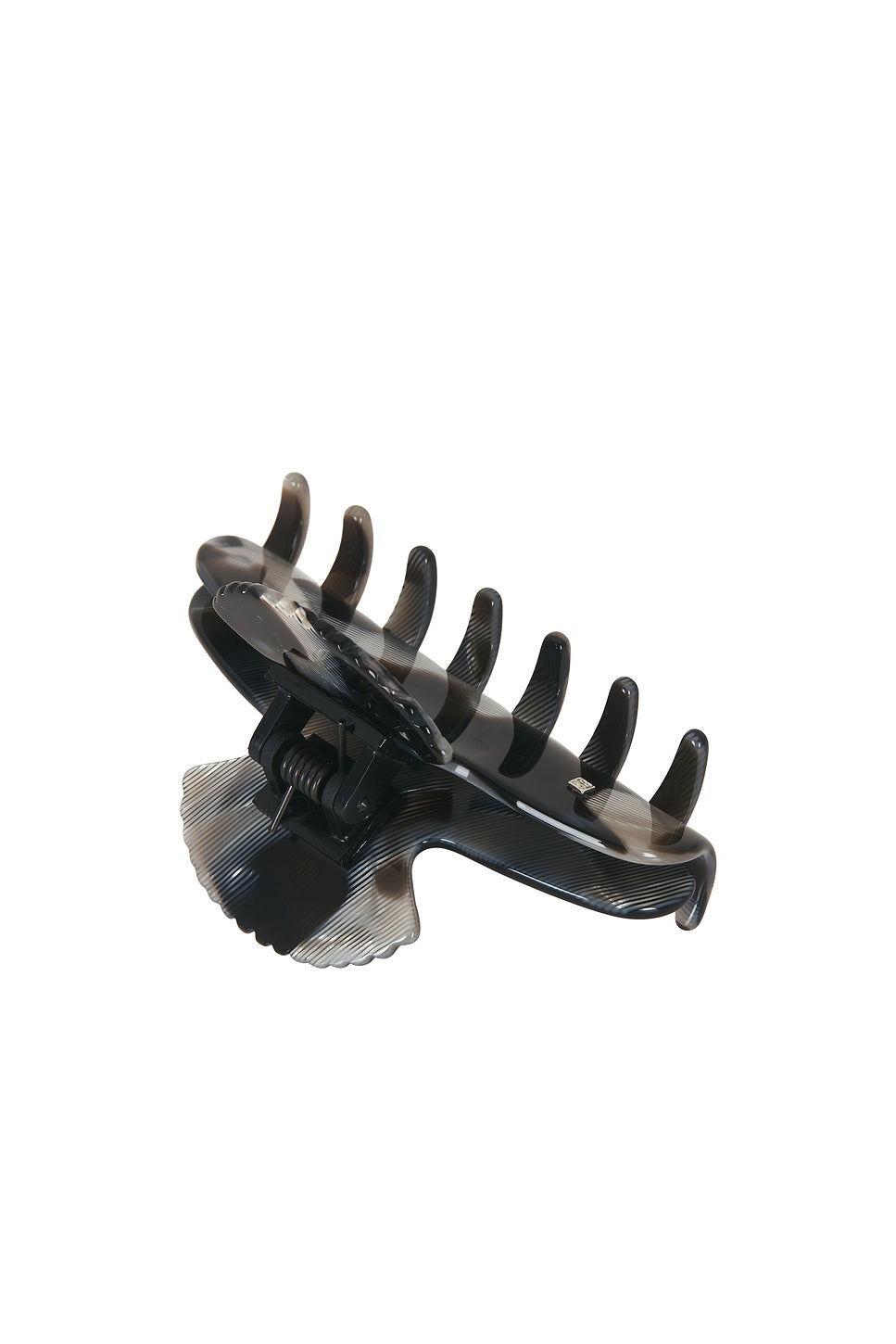Small Fan Shell Hair Claw