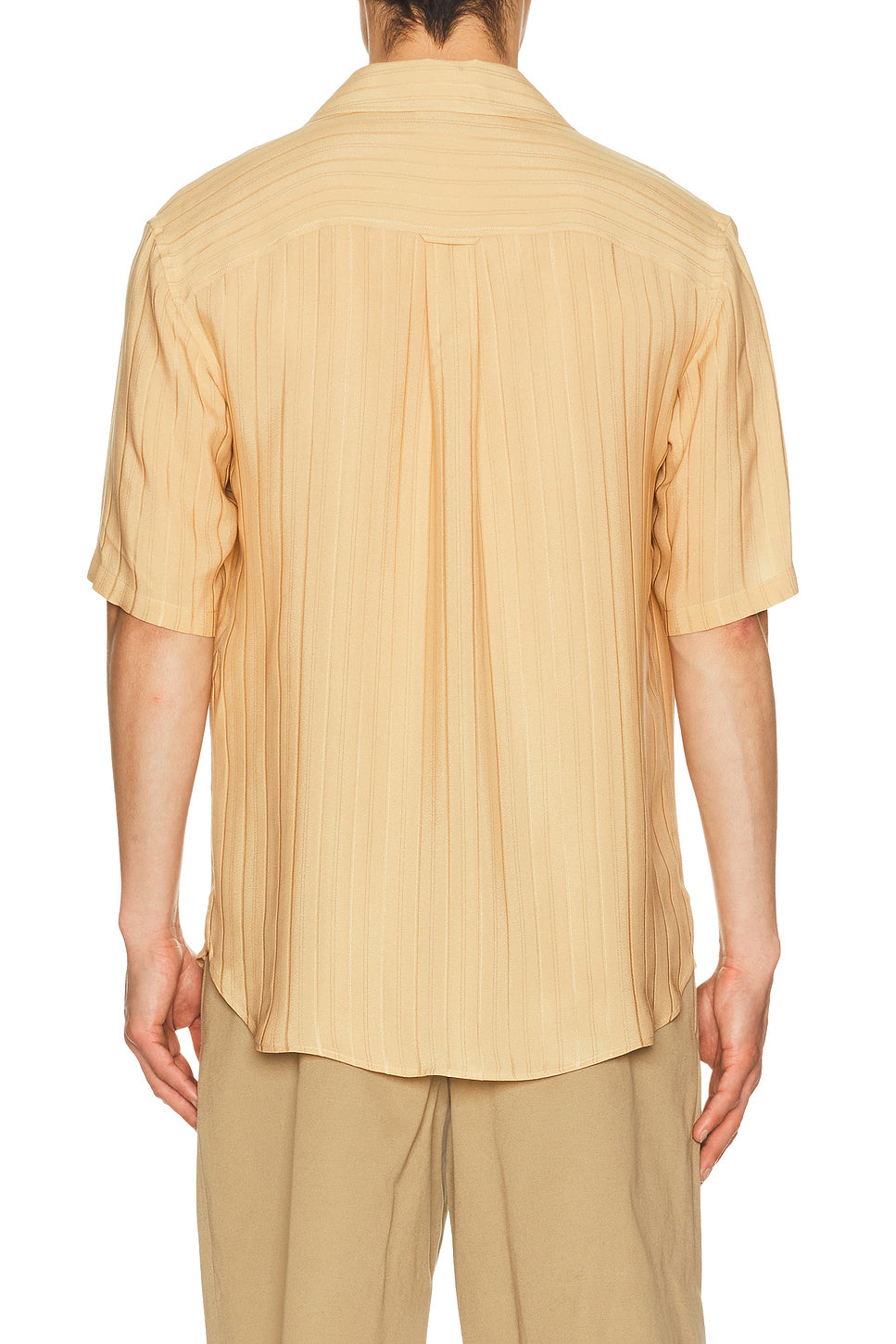 Short Sleeve