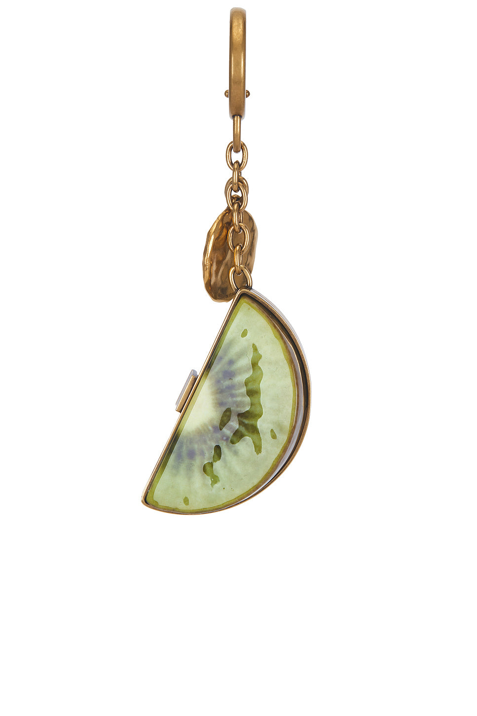 Kiwi Keychain