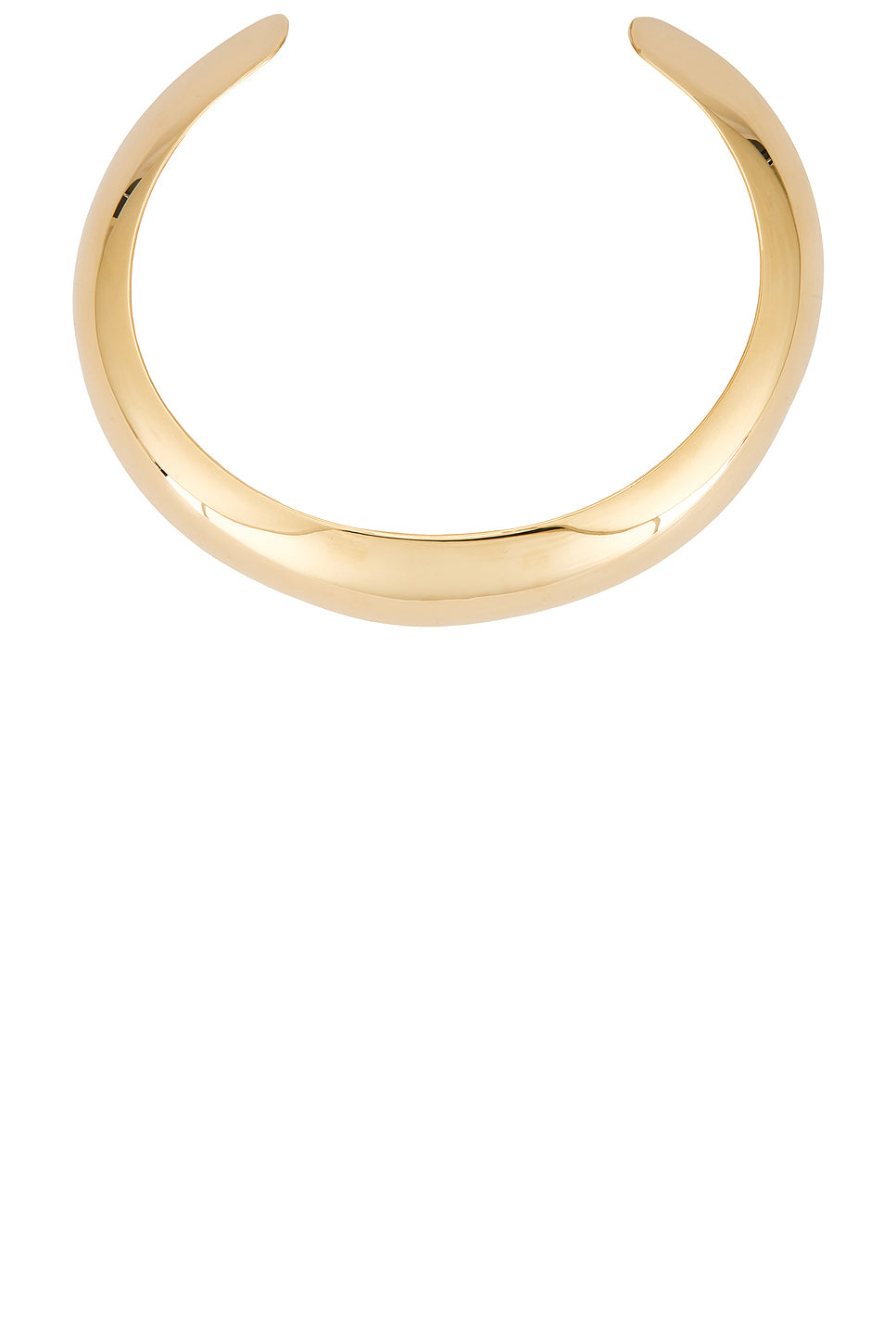 Horn Torque Necklace