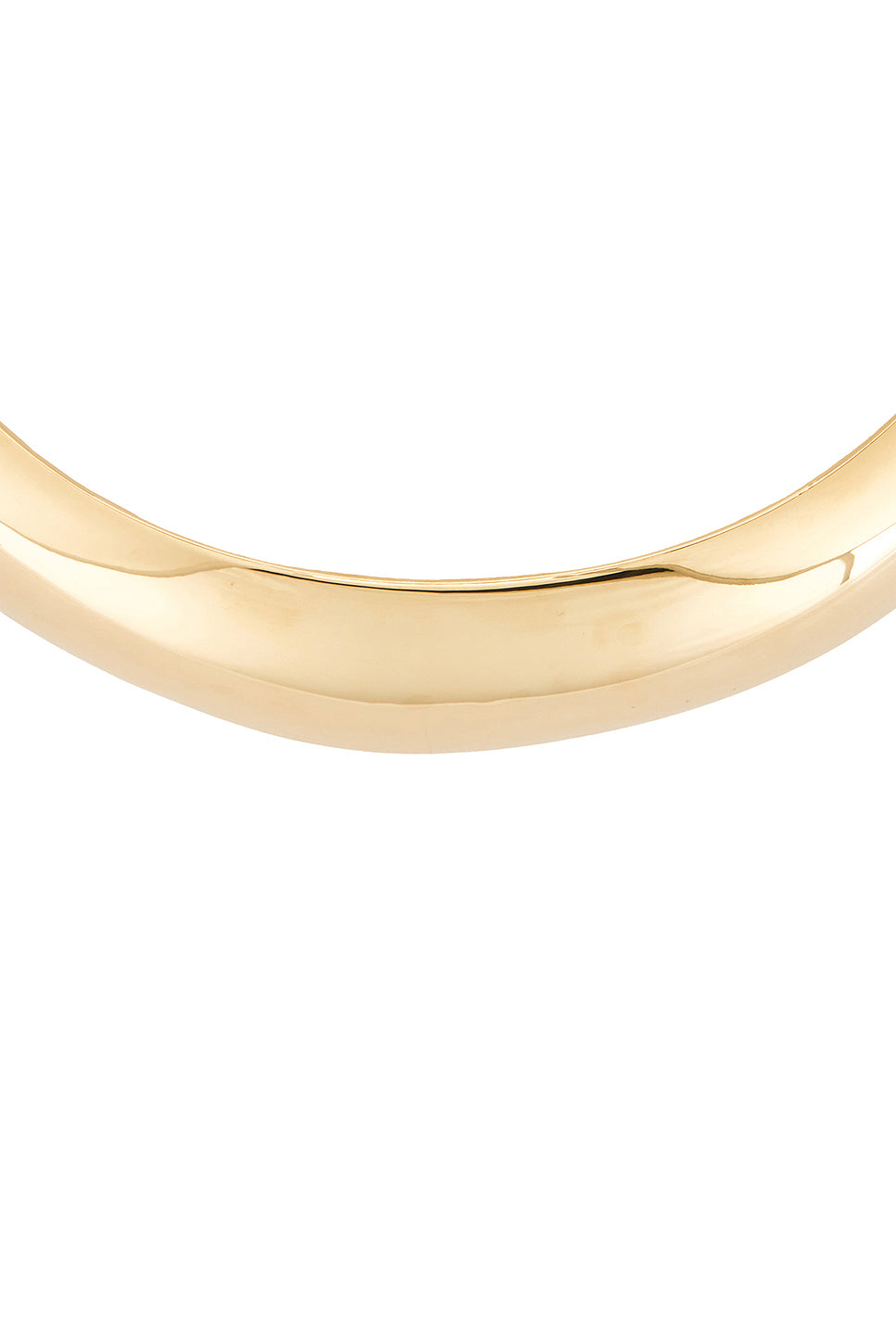 Horn Torque Necklace