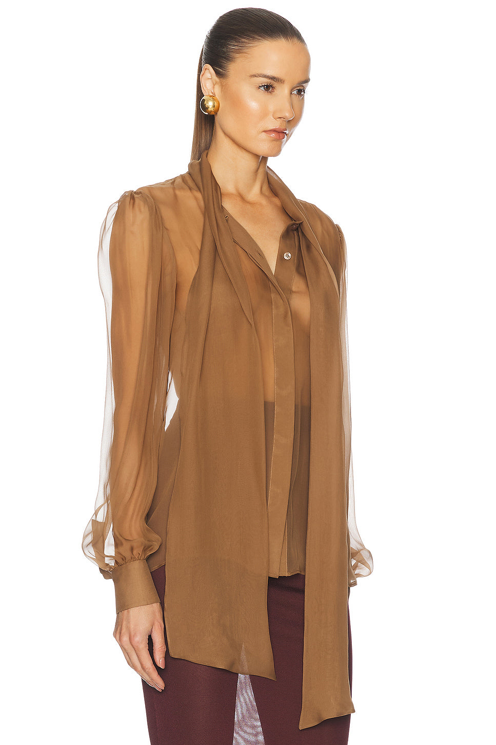 Sheer Long Sleeve Blouse