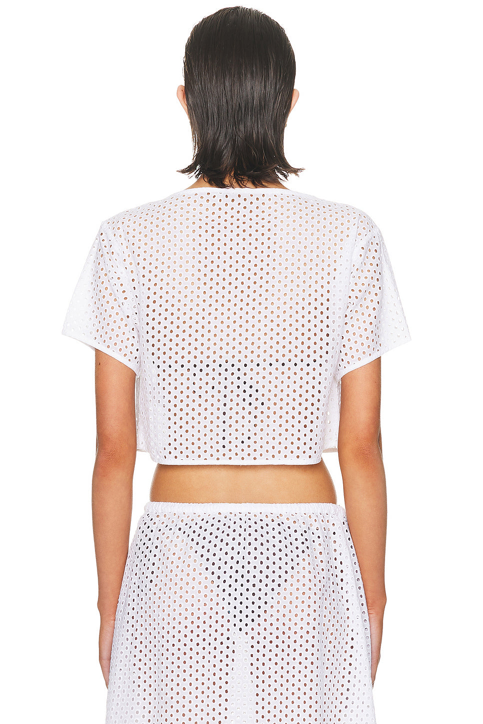 The Shannon Top