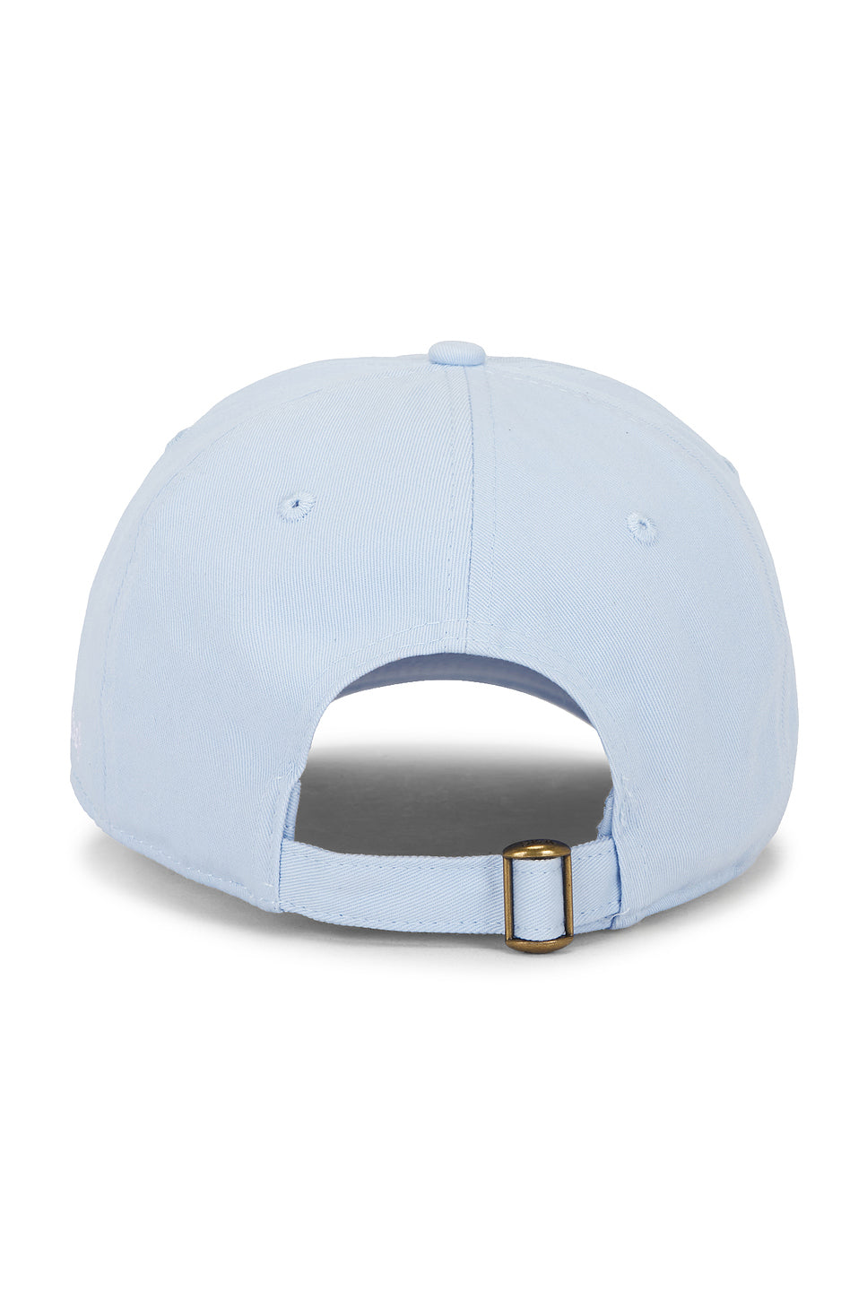 Health Is Wealth Hat