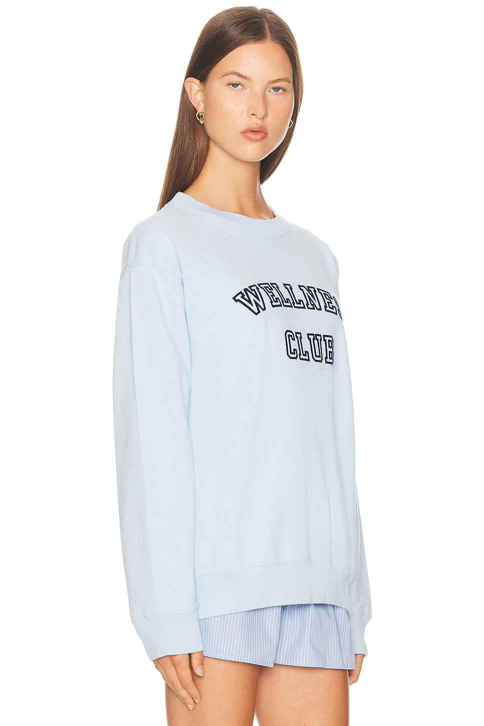 Wellness Club Flocked Crewneck Sweatshirt