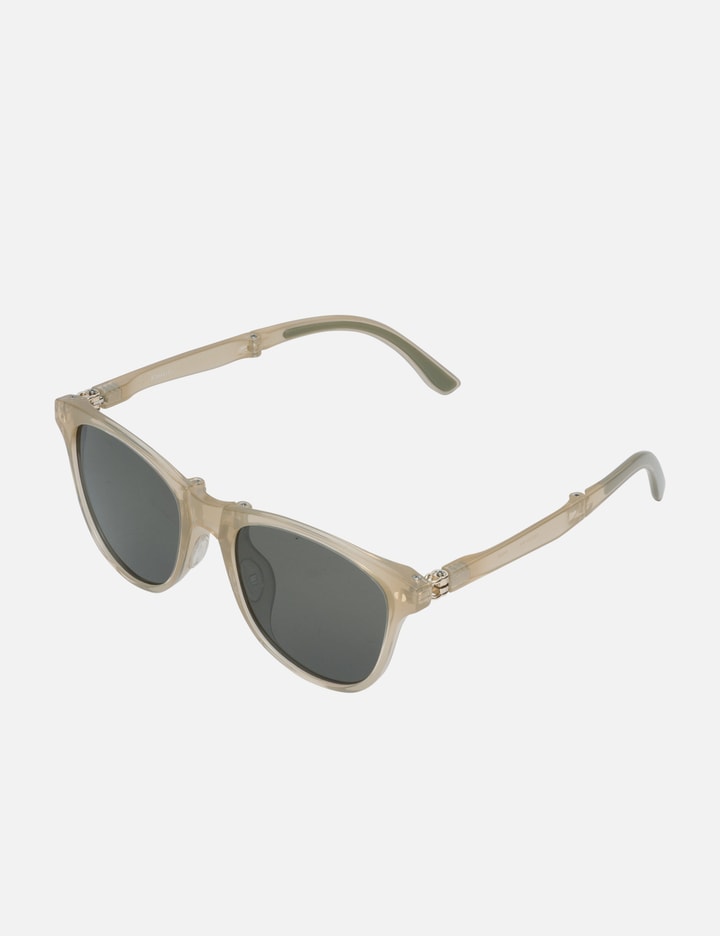 F004 Folding Sunglasses