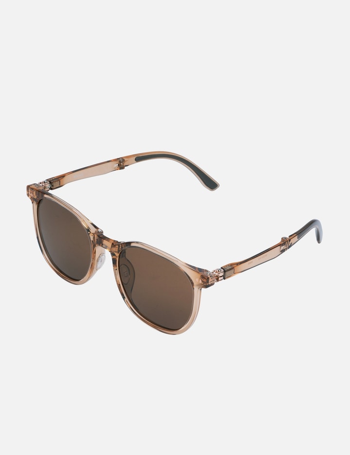 F003 Folding Sunglasses