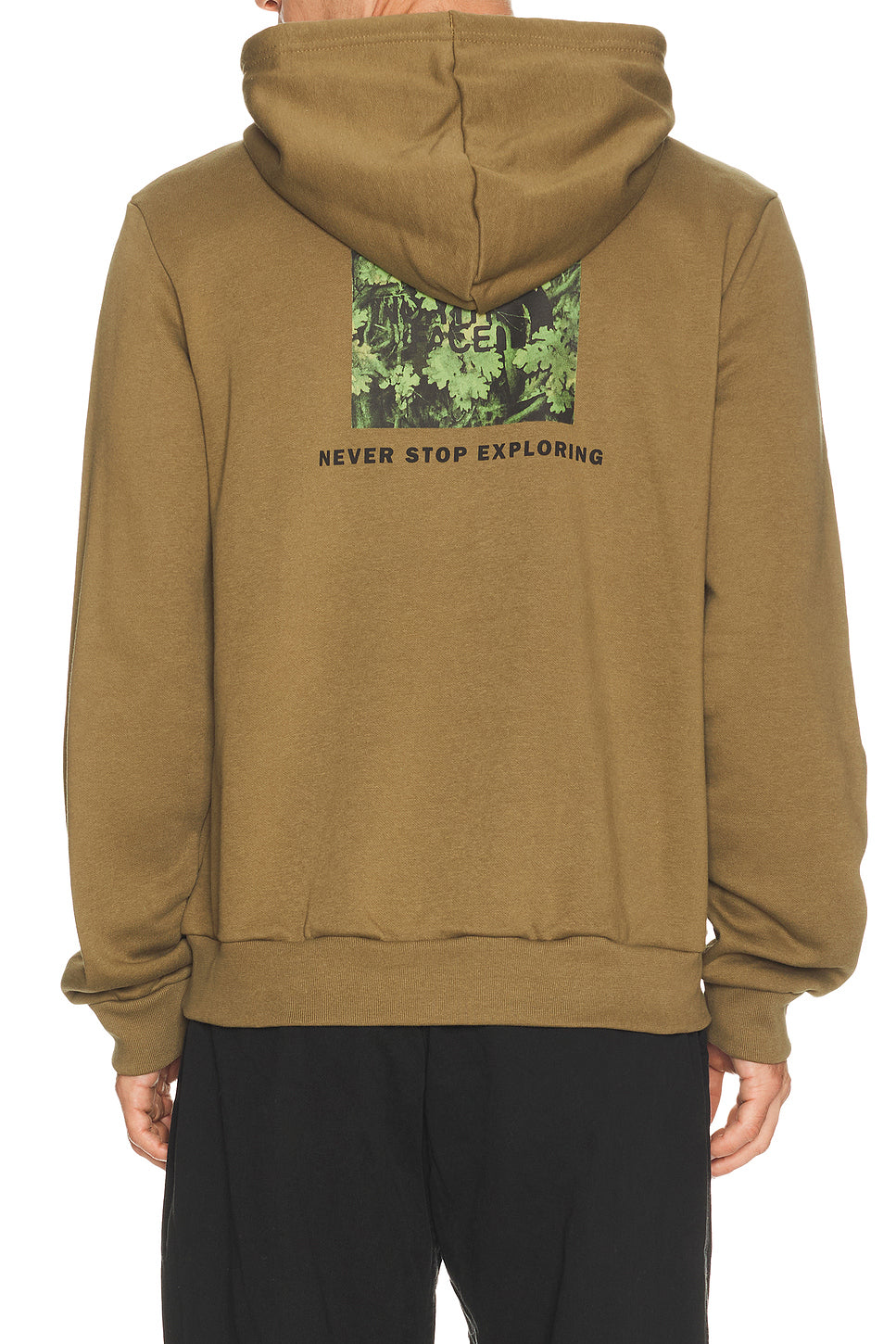 Men's Evolution Yosemite Oak Print Regular Hoodie