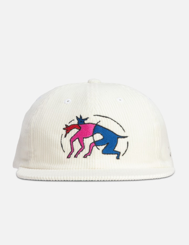 The zoomies 6 panel hat