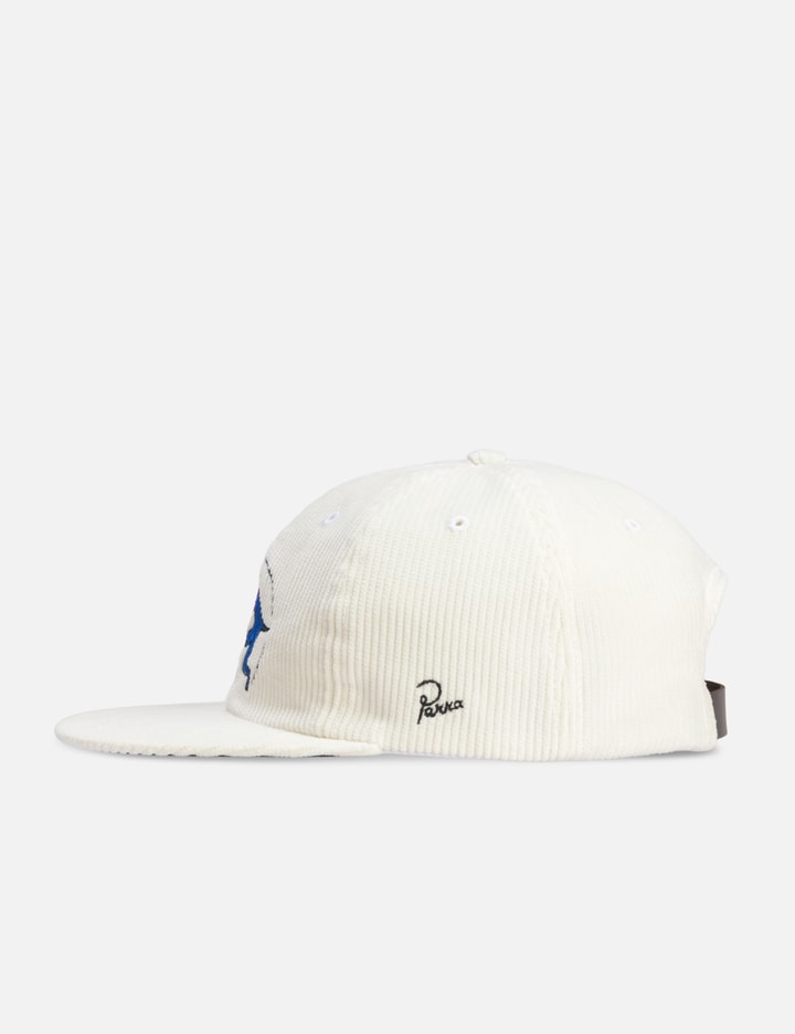 The zoomies 6 panel hat