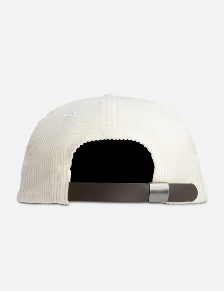 The zoomies 6 panel hat