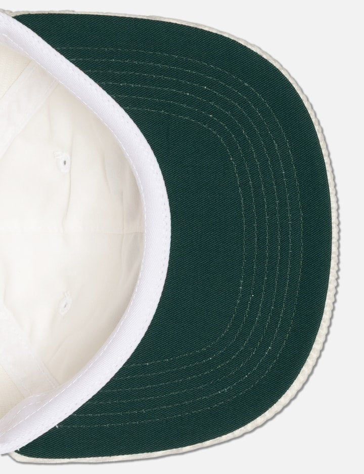 The zoomies 6 panel hat
