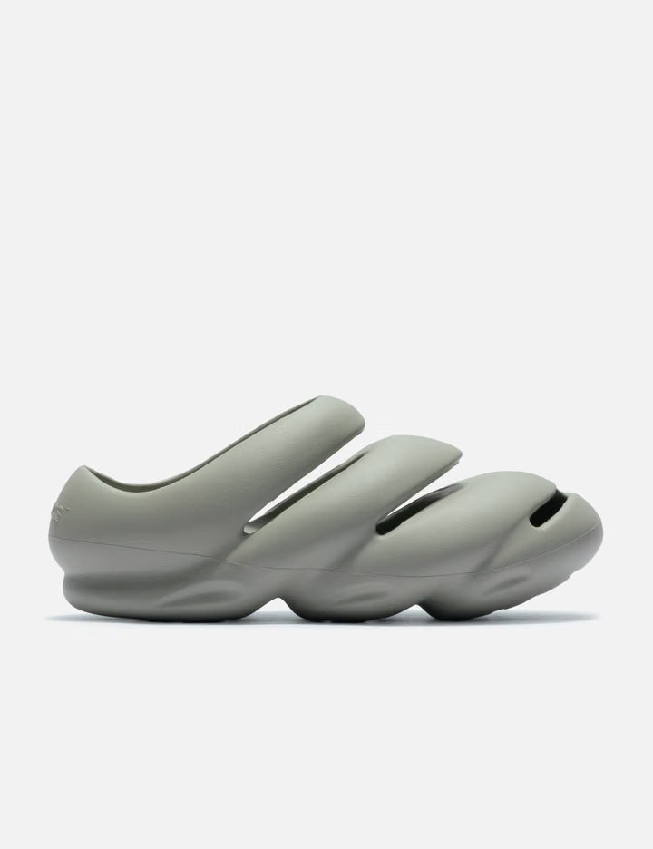 Crocs Roy