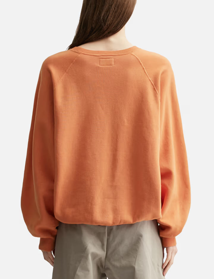 Unlikely Raglan Sleeve Crew