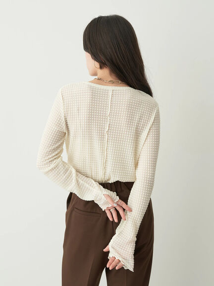 Avege Sheer Crew Neck Pullover