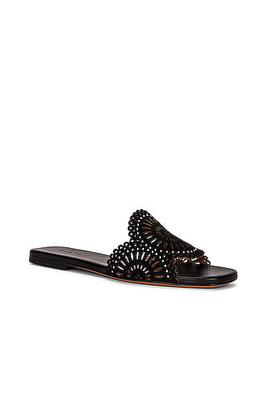 Perforated Molukai Mules