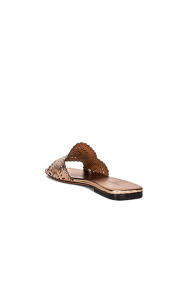 Perforated Molukai Mules